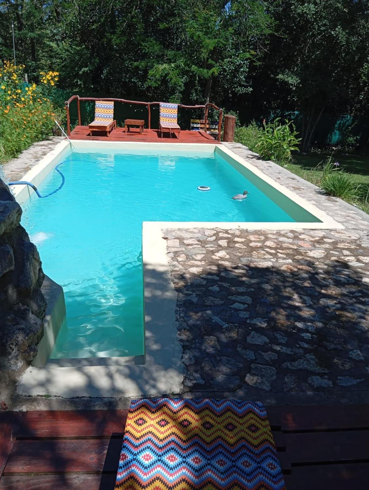 Villa La Isolina Villa Giardino Eksteriør bilde