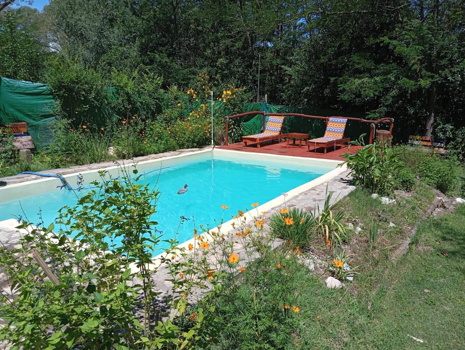 Villa La Isolina Villa Giardino Eksteriør bilde