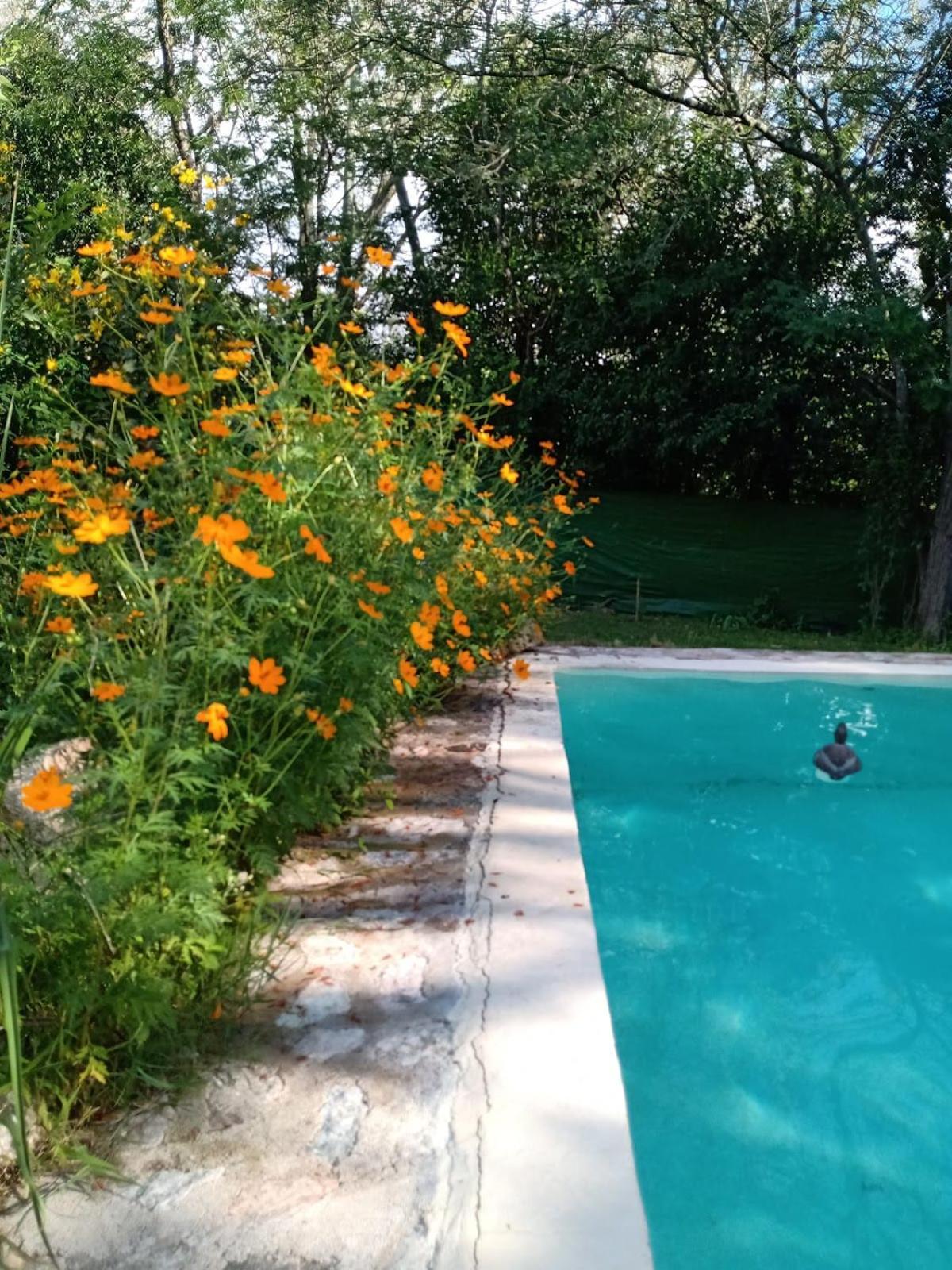 Villa La Isolina Villa Giardino Eksteriør bilde